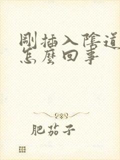 刚插入阴道就射怎么回事