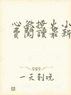 心欲撩火小说免费阅读最新章节