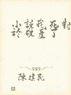 小说我死对头终于破产了