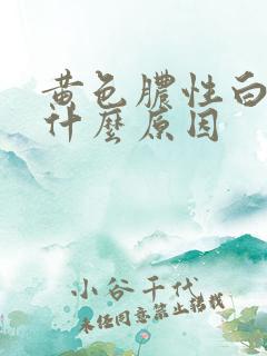 黄色脓性白带是什么原因