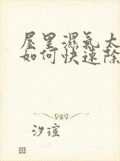 屋里湿气太重了如何快速除湿