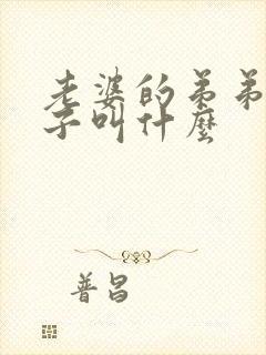 老婆的弟弟的儿子叫什么