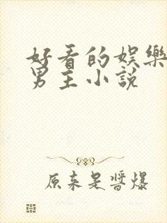 好看的娱乐圈双男主小说