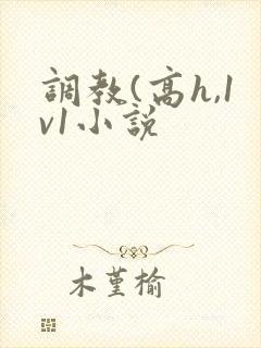 调教(高h,1v1小说