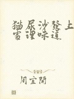 猫尿沙发上怎么处理味道