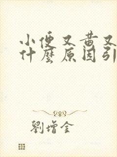 小便又黄又骚是什么原因引起的