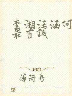 李湘汪涵何炅谁最有钱