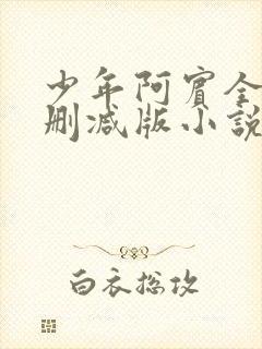 少年阿宾全集无删减版小说