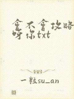 会不会攻略反派呀你txt