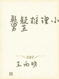 悬疑推理小说双男主