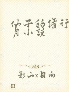 仙子的修行萧曦月小说