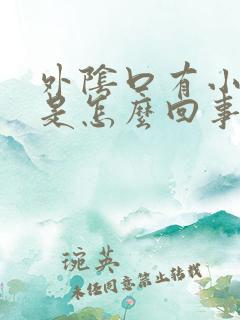 外阴口有小裂口是怎么回事