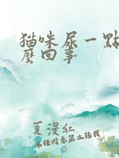 猫咪尿一点血怎么回事