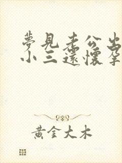 梦见老公出轨了小三还怀孕了咋回事