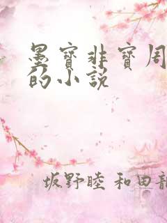 墨宝非宝周生仁的小说