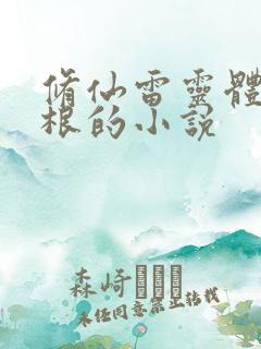 修仙雷灵体雷灵根的小说