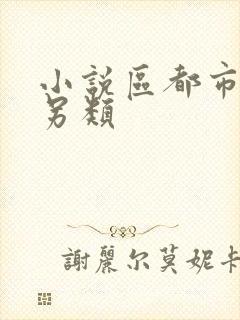 小说区都市激情另类