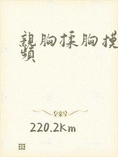 亲胸揉胸摸下视频