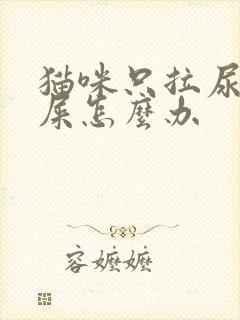 猫咪只拉尿不拉屎怎么办