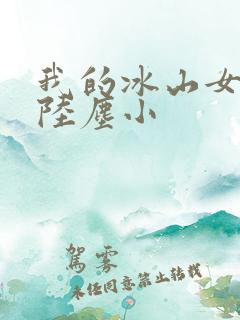我的冰山女总裁陆尘小