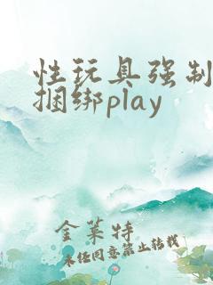性玩具强制囚禁捆绑play
