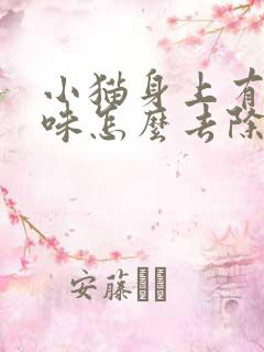 小猫身上有尿骚味怎么去除