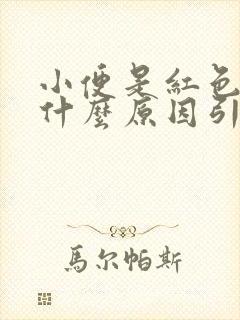 小便是红色的是什么原因引起的