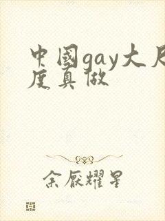 中国gay大尺度真做