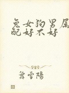 兔女狗男属相婚配好不好