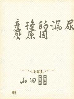 产后的漏尿是什么原因