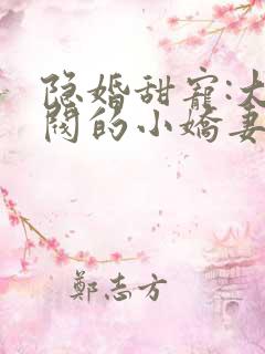 隐婚甜宠:大财阀的小娇妻