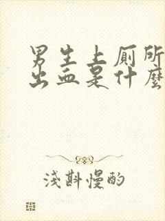 男生上厕所大便出血是什么原因