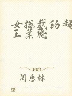 女总裁的超级兵王叶飞