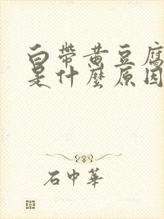 白带黄豆腐渣状是什么原因造成的