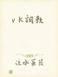 ⅴk调教
