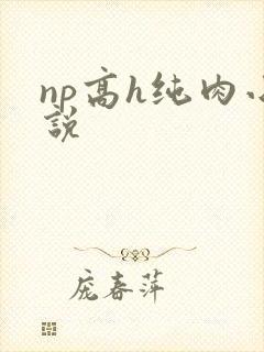 np高h纯肉小说