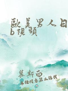 欧美男人日女人b视频