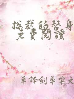 总裁的替身前妻 免费阅读