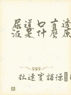 尿道口有透明黏液是什么原因