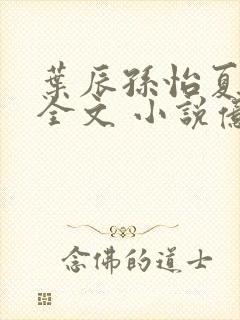 叶辰孙怡夏若雪全文 小说亿软