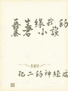 再生缘我的温柔暴君 小说