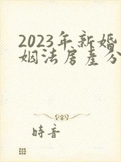 2023年新婚姻法房产分配