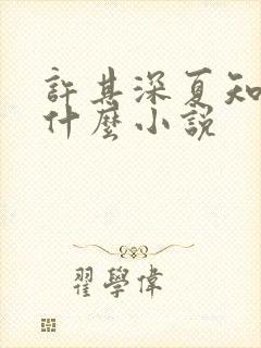 许其深夏知许是什么小说