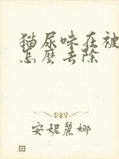 猫尿味在被子上怎么去除