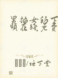 男插女的下面视频在线免费