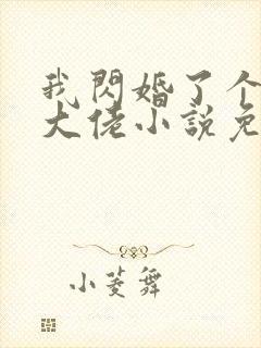 我闪婚了个财阀大佬小说免费阅读