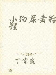 小狗尿黄粘稠液体