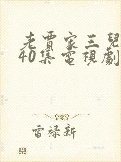 老贾家三儿一女40集电视剧