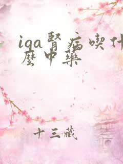 iga肾病吃什么中药