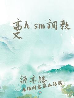 高h sm调教文
